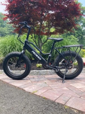 Pneu gordo Pedego element 500w 20x4 polegadas 20 mph preto usado - Imagem 1 de 4