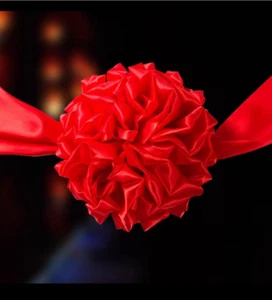 30cm Grooms Traditional Asian Wedding Chest Pom Pom - Picture 1 of 11