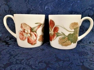 Set of 2 Wedgwood Cups White SUSIE COOPER NASTURTIUM Floral Demitasse Espresso - Picture 1 of 10
