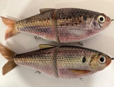 TYG Silencer Glide bait swimbait custom 7 inch 2 Glide baits KGB - Image 1 of 4