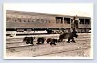 Bears Crossing CNR Railroad Tracks RPPC Mount Tekarra Vintage Jasper Photo années 1940
