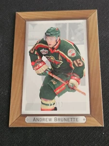 2003-04 UPPER DECK BEE HIVE ANDREW BRUNETTE #94 #ed 17/67 PORTRAIT SILVER - Picture 1 of 2
