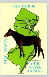 POSTAL MAPA DEL CABALLO NUESTRO ESTADO ANIMAL CAMISETA NUEVA - Imagen 1 de 2