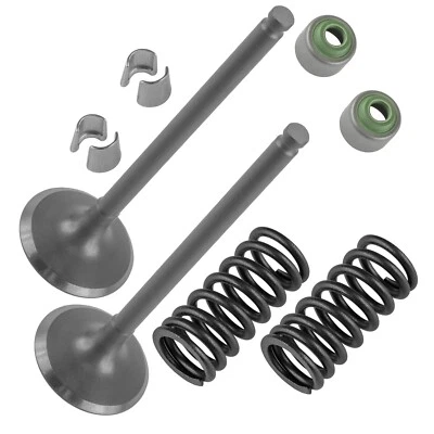 2x Kit de válvula de escape para Yamaha WR250F 2002 2003 2004 2005 2006-2009 2011-2013 Foto 1 de 4