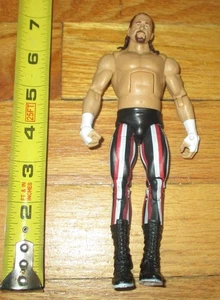 Figura de lucha libre 2016 WWF WWE Mattel Terry Funk Elite Series 41 WCW NWA Legends - Imagen 1 de 3
