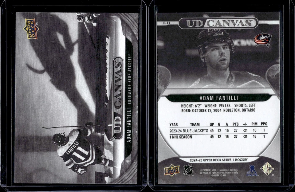 2024-25 Upper Deck Series 1 Canvas Black & White #C-11 Adam Fantilli - Image 1 of 1