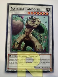 Naturia Landoise ® Comune ® HAC1-IT123 ® Italiano  - Picture 1 of 1