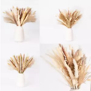 Natural Dried Pampas Grass Plant Bouquet Flowers for Wedding Home Décor Floral - Picture 1 of 60