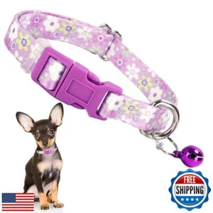 Purple Daisy Dog Collar for Small Dogs with Bell, Pretty Cute Floral Flower L - Picture 1 of 5