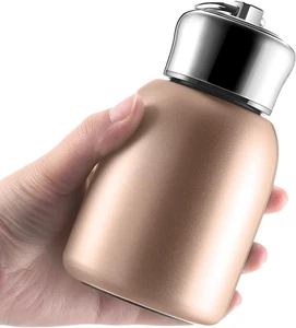 1 Pcs 10Oz Mini Water Bottles Stainless Steel Slim Insulated Thermal for Hot Col - Picture 1 of 12