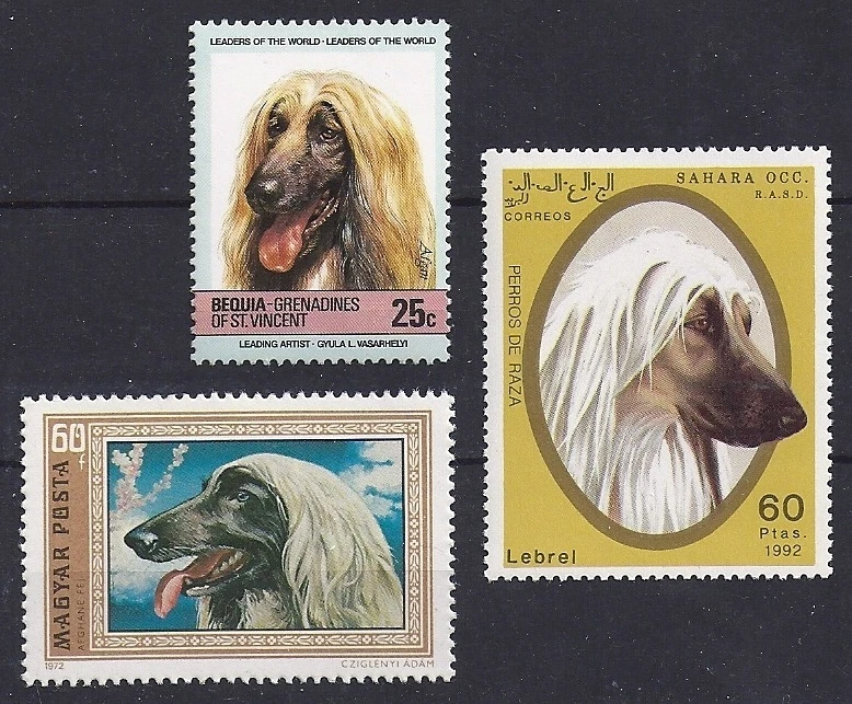 Dog Art Head Study Portrait Postage Stamp Collection BM Red AFGHAN HOUND 3 x MNH - Image 1 of 1