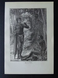 Borneo DAYAK PEOPLE / DYAKS Original viktorianischer Druck von Figuier um 1893 - Bild 1 von 2