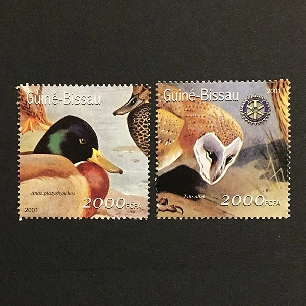 Guinea Bissau 2001 MNH ** birds duck owl - image 1 of 1