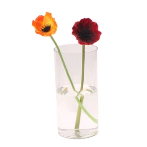 Hydroponic Plants Acrylic Cylinder Vase Clear Fresh Flowers Decorative Bottles - Picture 1 of 16