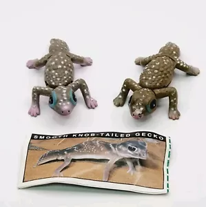 Yowie Cadbury Series 1 Smooth Knob Tailed Gecko & Green Paper Variation (Pink) - Picture 1 of 8
