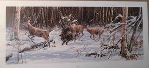 JANENE GRENDE Whitetail Deer "PANIC" Limited Edition # 687 of 750 - Picture 1 of 7