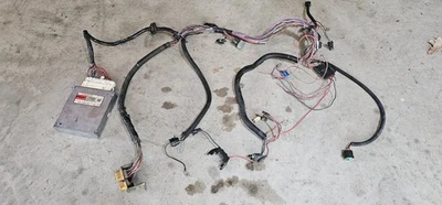 1984 AMC Jeep 258 4.2l Computer & Wiring Harness; Uncut And Complete - Image 1 of 4