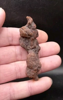 Turtle Coprolite Fossil poo poop Madagascar Eocene Reptile 100% Genuine - Image 1 of 4