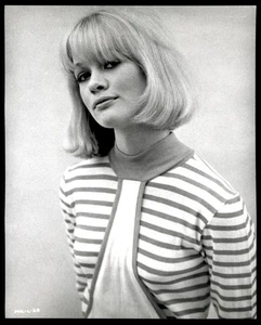 Vintage SCHAUSPIELERIN JUDY GEESON Studio Foto 60er Jahre PRUDENCE & THE PILL - Bild 1 von 1