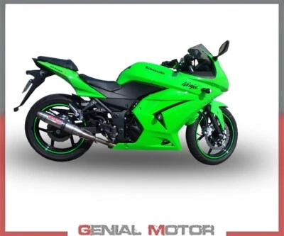 Terminale di Scarico GPR DEEPTONE INOX Omologato KAWASAKI NINJA 250 R 2007 2014 Foto 1 de 4