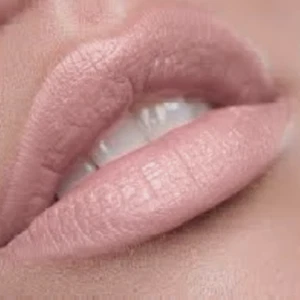 New Premium Long Lasting Liquid Matte Lipstick | Light Pale Pink Nude | Everyday - Picture 1 of 3