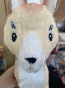 NWT Jane Goodall Institute Anza the Fennec Fox plush stuffed animal 14 in tall - Picture 1 of 3