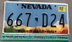 * Nummernschild, Nevada, Home Means Nevada, 667 D24 - Bild 1 von 2