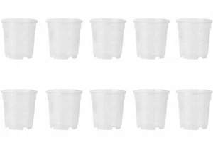 10 VASI PER ORCHIDEE Ø12CM COMPLETAMENTE TRASPARENTI PROMO - Foto 1 di 1