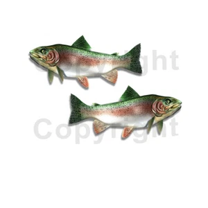 Paquete de 2 calcomanías adhesivas de trucha para pesca RV barco coche camión cámper remolque F097 - Imagen 1 de 1