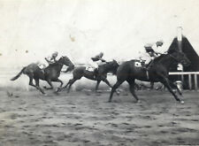 #30087 Greece 1959. Horse for racing. Professional photo.