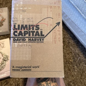 The Limits to Capital Taschenbuch David Harvey sehr gut - Bild 1 von 4