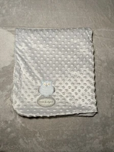 Blankets & Beyond Blue Owl Gray Minky Dot Blanket Reversible Velour Plush Lovey - Picture 1 of 4