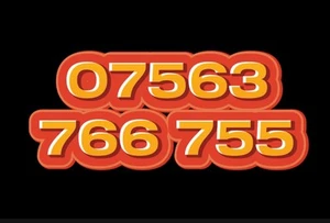 VIP Gold Mobile Number Easy Memorable SIM Platinum Diamond Business O2 - Photo 1 sur 1
