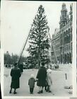 1962 Firemen Putting Up Christmas Tree At Vienna City Hall Holidays 7X9 Photo