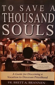 To Save a Thousand Souls by Fr Brett Brannen (2012, Tr Pbk) - Foto 1 di 6