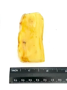 Natural Butterscotch Baltic Amber Specimen - 26.2g - Picture 1 of 2