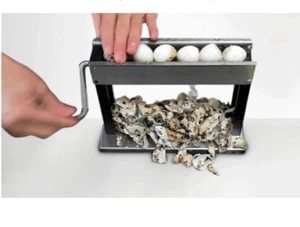 Quail Egg Peeler quail bird egg peeler machine huller machine sheller house USA - Picture 1 of 5