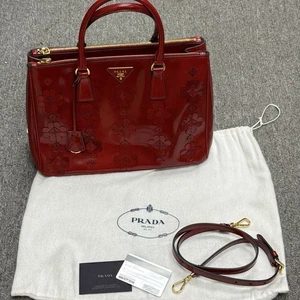 Bolso de Mano PRADA Spazzolato Flor Galería Bolso Rojo Floral Apliques Bolso con Asa Superior - Imagen 1 de 11