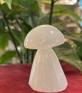 2" Selenit Pilz  - Bild 1 von 5