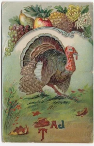 Joyous Thanksgiving, Turchia in Field Fruit, Toronto ON 1914 Cartolina - Foto 1 di 2