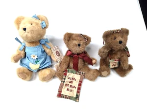 Boyd Bear Lot Rascal Sissy & Stacey Daisydew Plush Bears Total Of 3 - Picture 1 of 5
