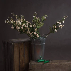 Cream Wild Meadow Rose Cream Plastic Artificial Flowers & Greenery - Picture 1 of 5
