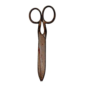 Antique Primitive Iron Shears Scissors Curved - Picture 1 of 21
