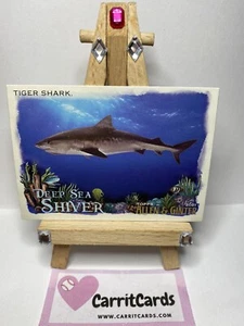 TIGER SHARK 2021 Allen & Ginter Deep Sea Shiver #DSS-4 - Picture 1 of 6