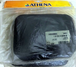 SUZUKI BURGMAN 400 250 AN400 Air Cleaner FILTRO ARIA ATHENA 1998/2006 - Foto 1 di 9