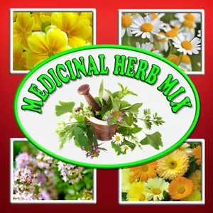 MEGA MEDICINAL HERB SEED MIX-20 VARIETIES-EDIBLE FLOWERS-COTTAGE GARDEN PLANTS - Picture 1 of 24