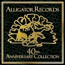 Alligator Records 40th Anniversary von Various | CD | Zustand sehr gut - Bild 1 von 2