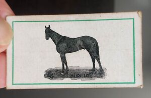 HORSE RACING: c1920s Griffiths Bros confectionary card "Murillo" Nut-Milk RARE