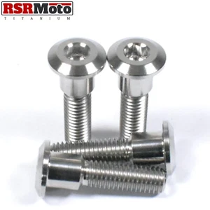Suzuki RGV250 Titanium Rear Brake Disc Bolts, 1987-1998, All Models - Picture 1 of 7