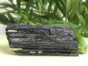 3"- 4" Black Tourmaline Specimen Log Office Home Protection Stone Wicca Thearpy. - Picture 1 of 10